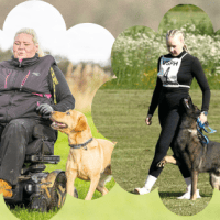 Syksyn tottisryhmä